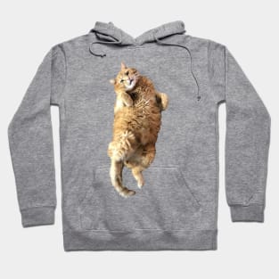 Chonklord Ferdinand Cat Hoodie